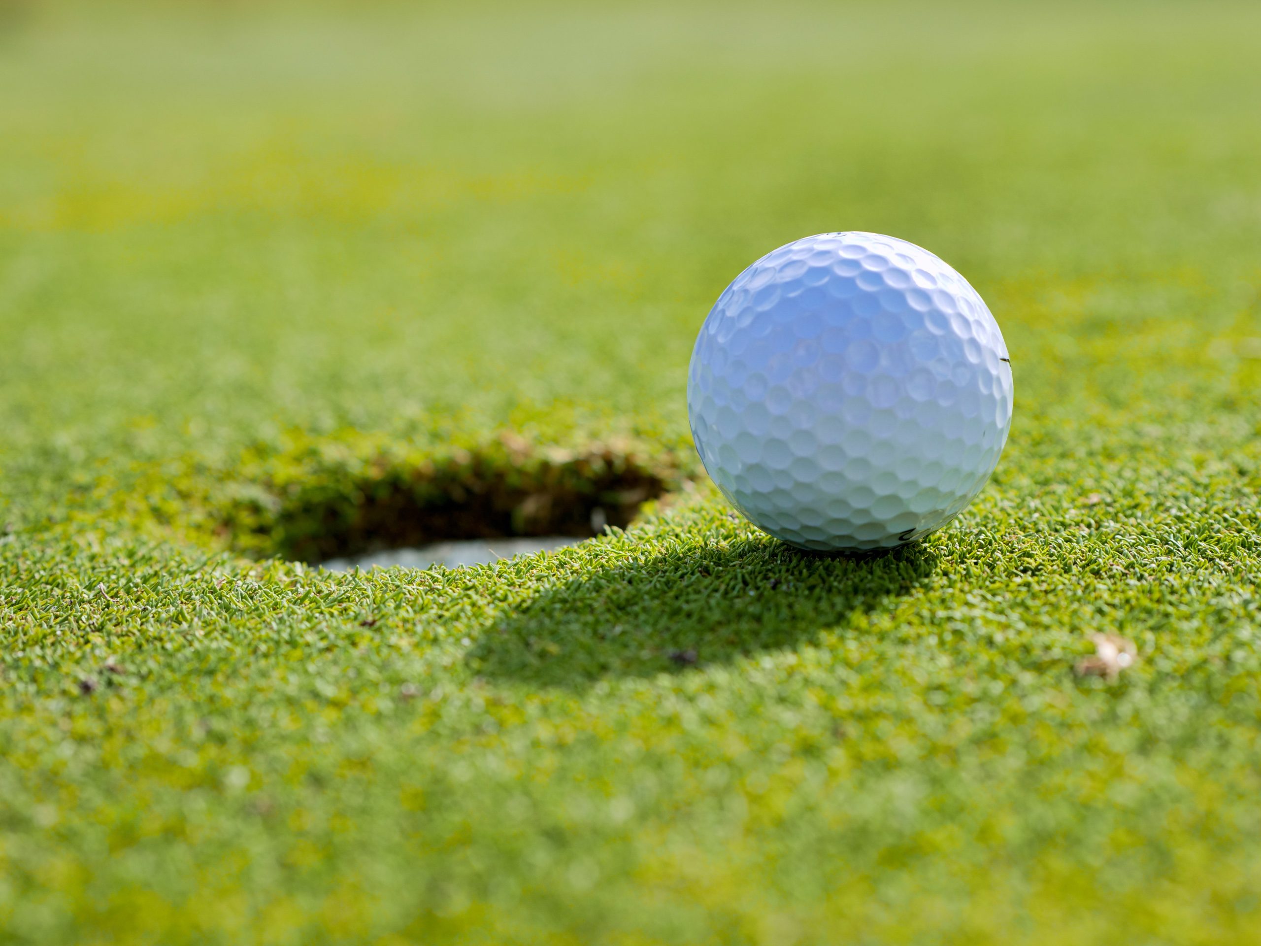 State-Template-Event-Placeholder-Image State-Template-Event-Placeholder-Image golf ball near a cup